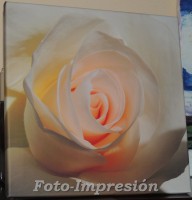 /album/foto-impresion/cuadro-rosa-lateral-jpg/